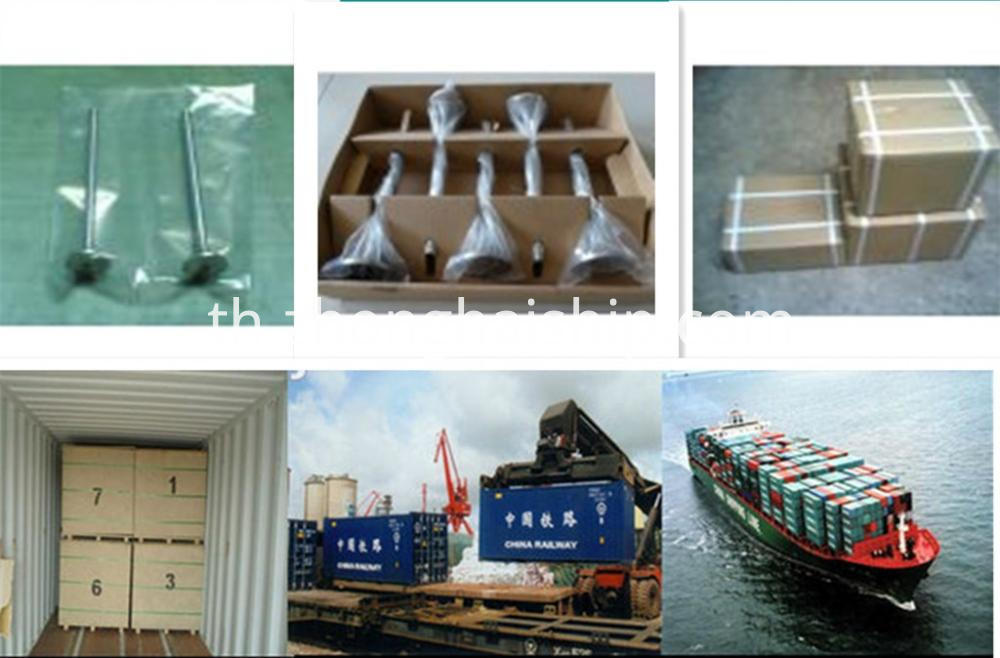 บรรจุการจัดส่ง Packing Delivery
